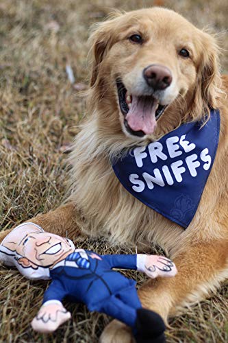 Bite a Biden Dog Toy & Dog Bandana: Humorous Political Satire