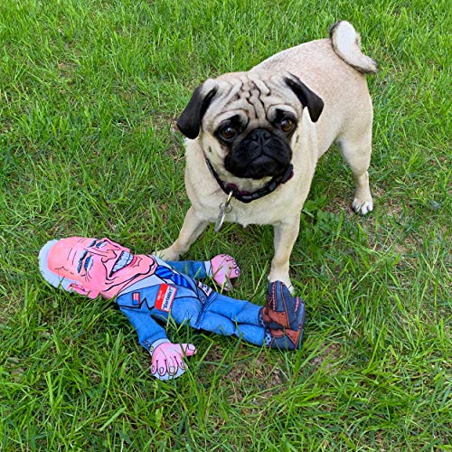 Trump 2024 Dynamic Duo Dog Toy Set, Medium 12”