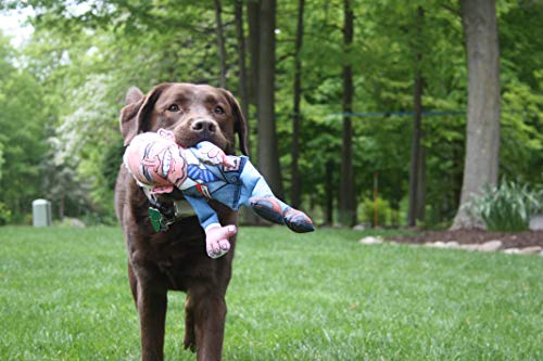 2024 Trump Political Parody Dog Toy