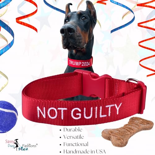 Trump 2024 Dog Collar and Leash Set - Customizable