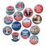 25 Assorted Designs Trump 2024 Buttons - 2.25