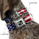 Trump 2024 American Flag Buckle Dog Collar