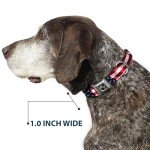 Trump 2024 American Flag Buckle Dog Collar