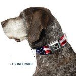 Trump 2024 American Flag Buckle Dog Collar