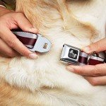 Trump 2024 American Flag Buckle Dog Collar