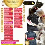 Trump 2024 Dog Collar and Leash Set - Customizable