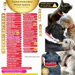 Trump 2024 Dog Collar and Leash Set - Customizable