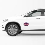 Trump 2024 Oval Magnet Sticker: Stand for America