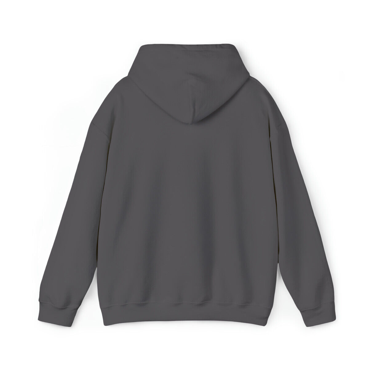 Trump 2024 Hoodie | President | Republican Parade