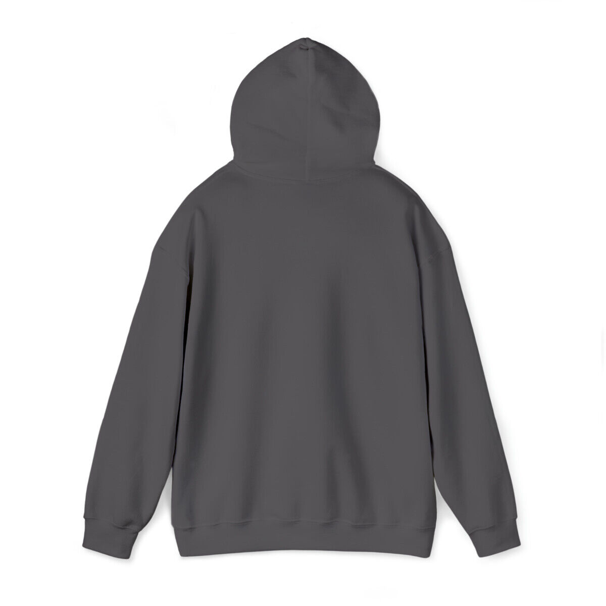 Trump 2024 Hoodie | President | Republican Parade