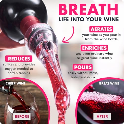 2-in-1 Professional Wine Aerator Pourer Spout