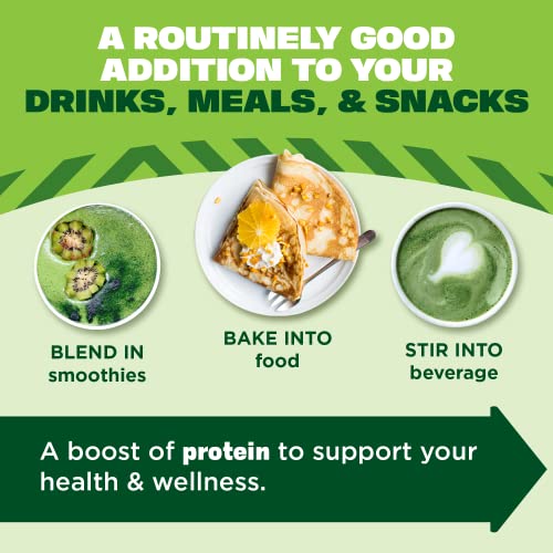 Organic Hemp Max Fiber Protein Powder