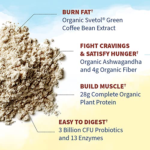 Organic Fit Vegan Coffee Protein Powder - 10 Servings