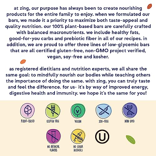 Zing Bars Dark Chocolate Peanut Butter Protein Bar