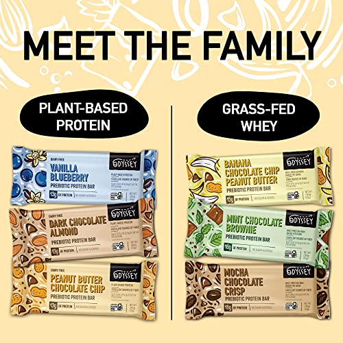 Organic Mint Chocolate Brownie Protein Bars