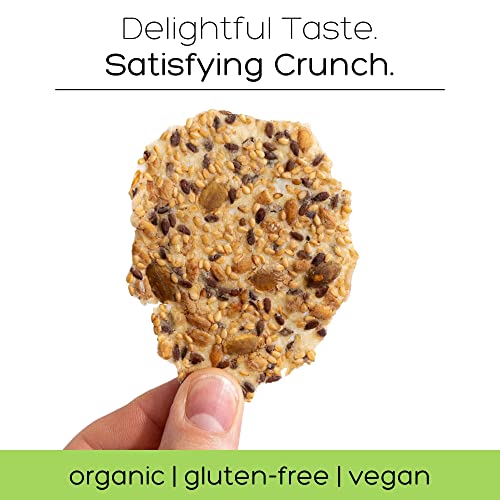 Organic gluten-free seed crackers with protein