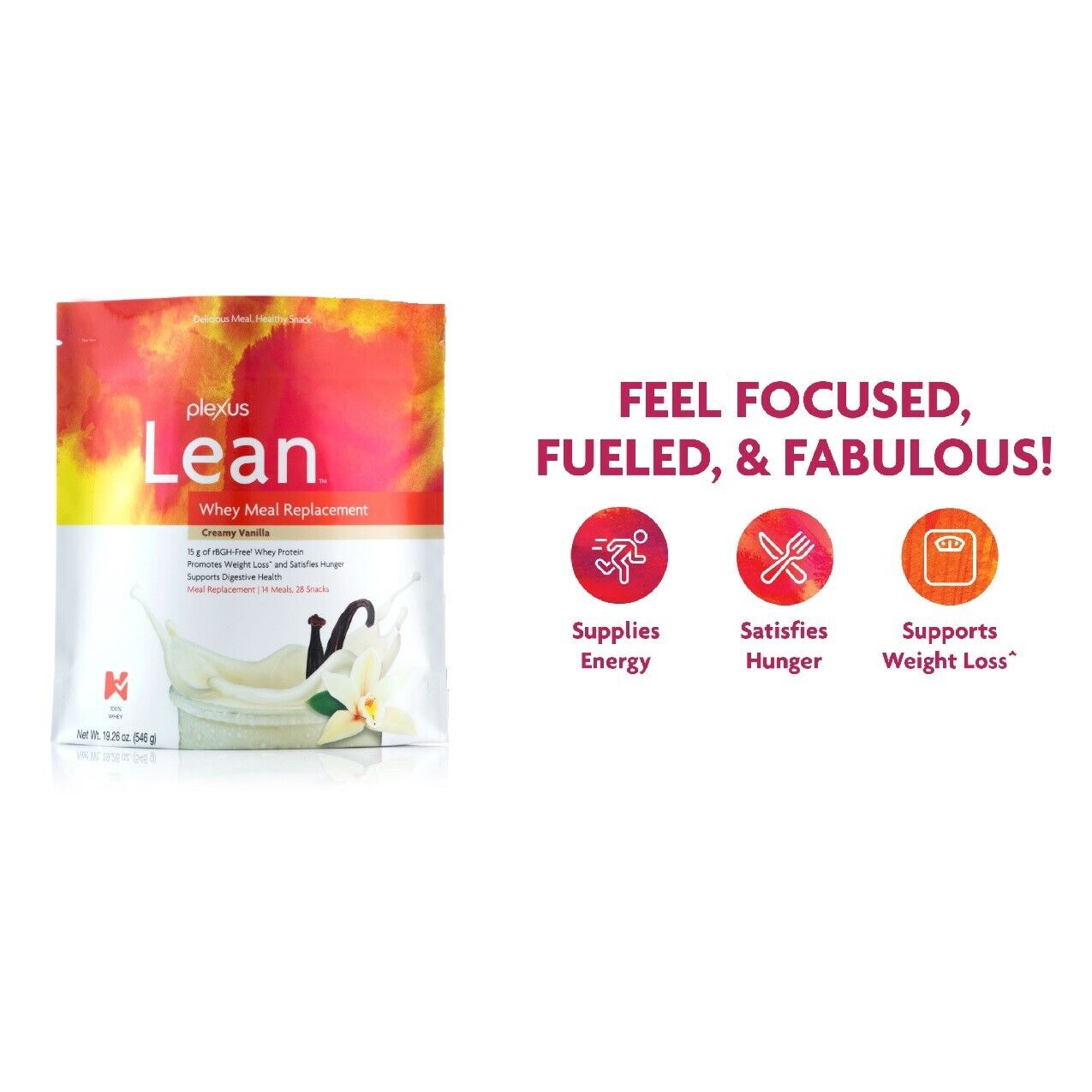Vanilla Lean Whey Meal Replacement Powder - 4 Pack