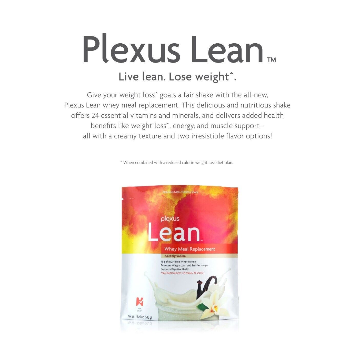 Vanilla Lean Whey Meal Replacement Powder - 4 Pack