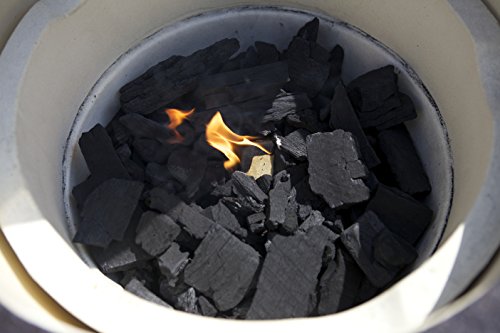 20lb Bag of Natural Lump Charcoal