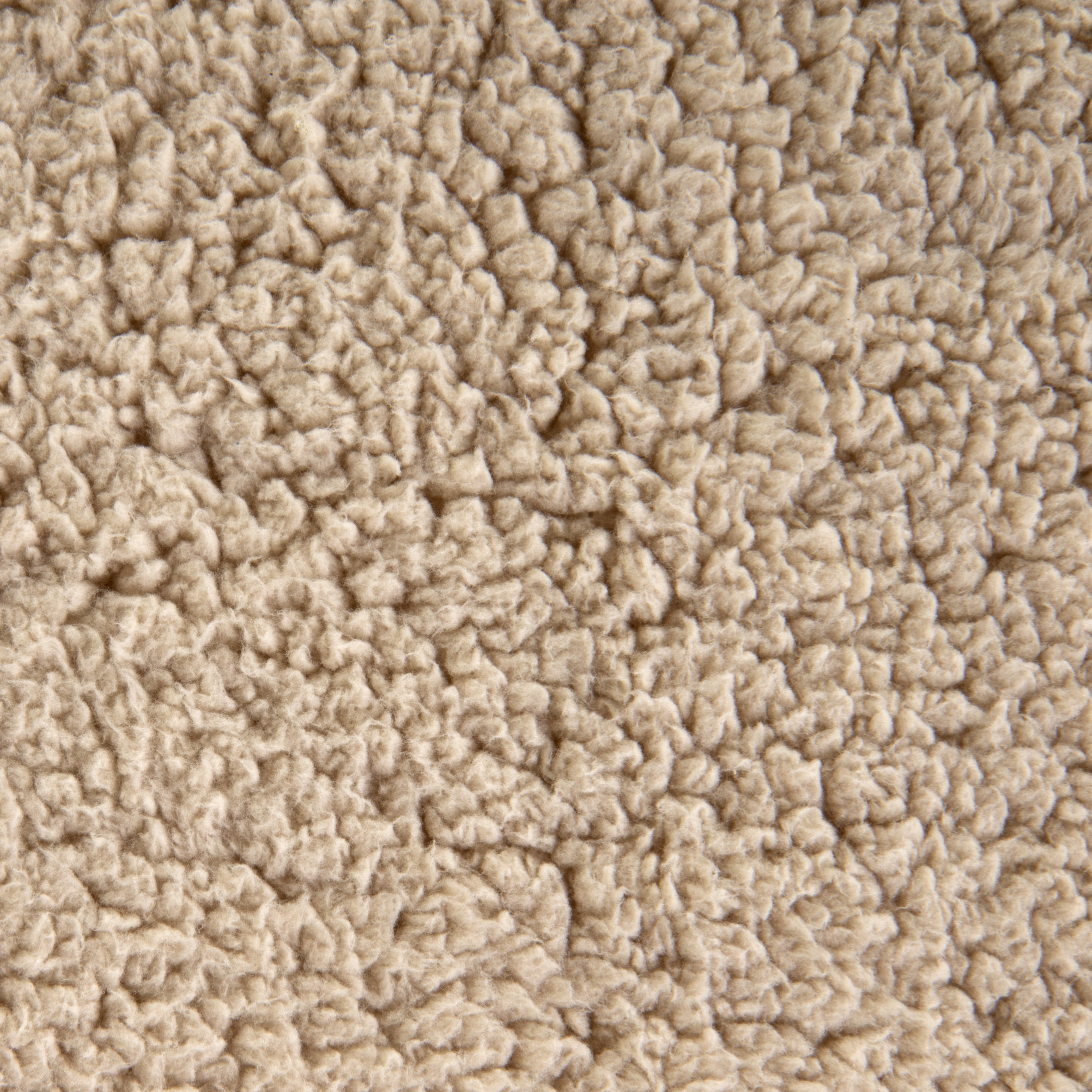 Large Orthopedic Dog Bed: Vibrant Life Edition