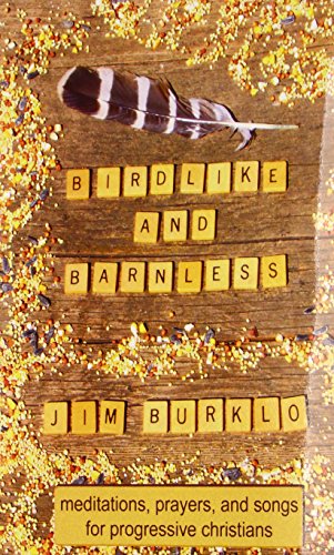 Birdlike and Barnless: Meditations, Prayers and Songs for Progressive Christians