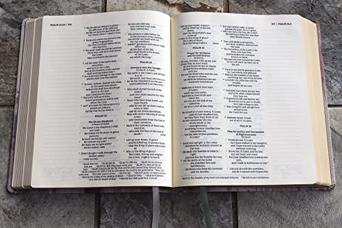 NRSVue Artisan Bible