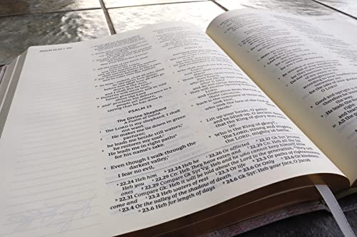NRSVue Artisan Bible