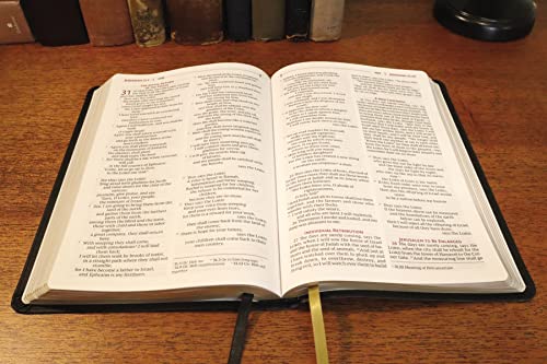 NRSVue, Holy Bible, Leathersoft, Black, Comfort Print Imitation Leather