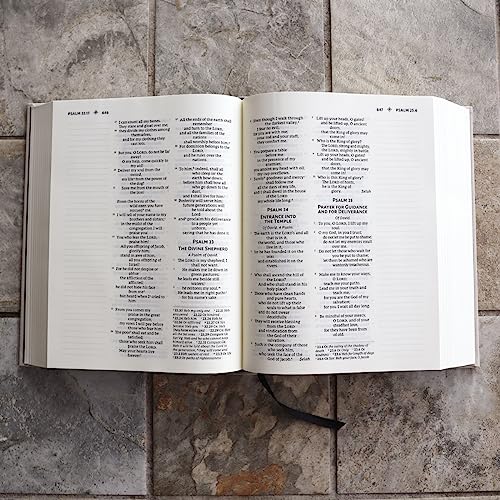 NRSVue Bible with Apocrypha - Journal Edition