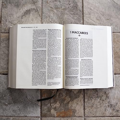 NRSVue Bible with Apocrypha - Journal Edition