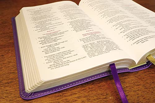 NRSVue Purple Leathersoft Bible (Personal Size, Comfort Print)