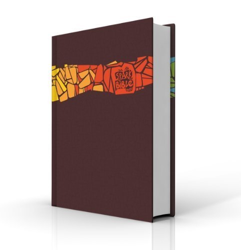 Spark Bible: Gift Edition (NRSV)