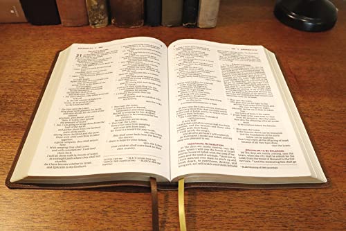 NRSVue, Holy Bible with Apocrypha, Leathersoft, Brown, Comfort Print