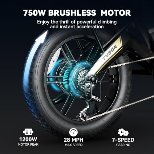 Heybike Tyson Folding Fat Tire E-Bike