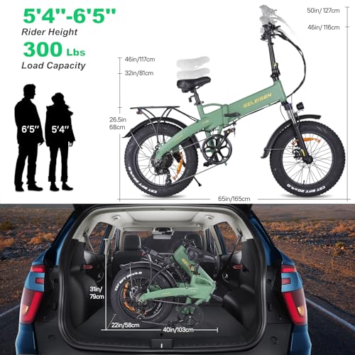 GELEISEN TT-S5 Foldable Fat Tire Electric Bike 