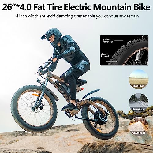 Aostirmotor Snakeskin Grain Fat Tire Electric Bike 