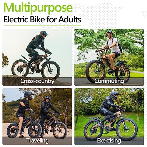 Aostirmotor Snakeskin Grain Fat Tire Electric Bike 
