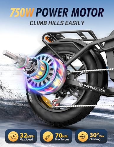 Tesway S5 Foldable 750W Electric Bike