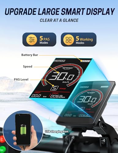 Tesway S5 Foldable 750W Electric Bike