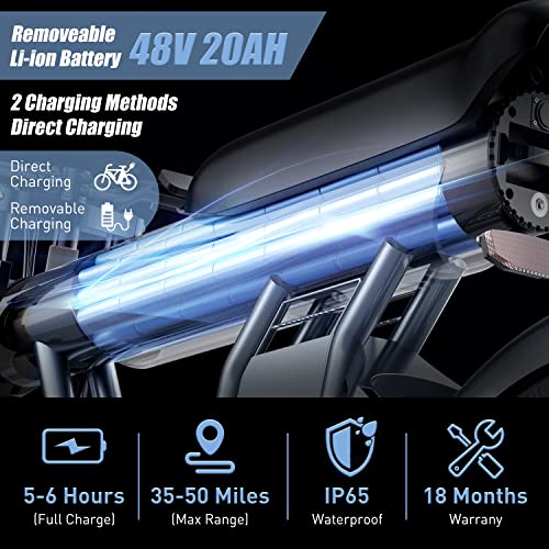 YYG 1200 W Electric Bike
