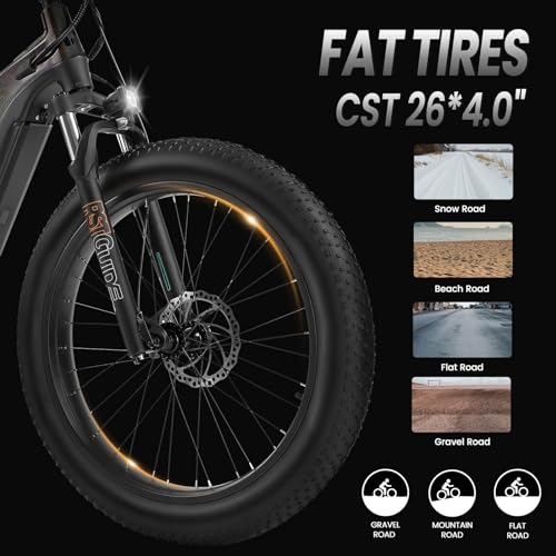 VELOWAVE Star Black Grace Electric Bike