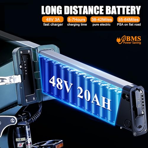 Burchoa 750W/1000W Foldable Electric Fat Tire Bike