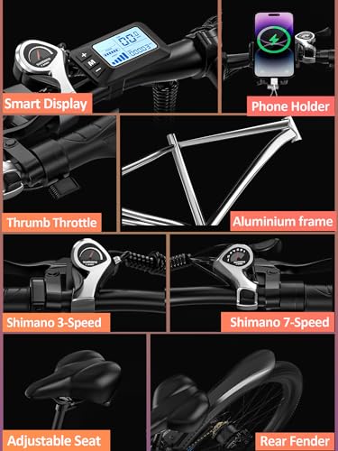 EBycco 750W Electric Mountain Bike 