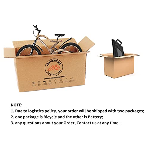 Aostirmotor Snakeskin Grain Fat Tire Electric Bike 