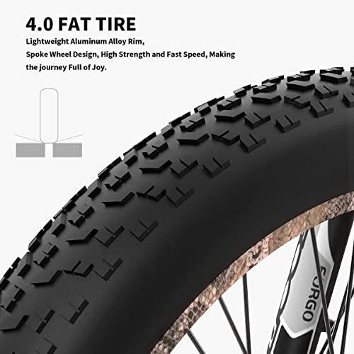 Aostirmotor Snakeskin Grain Fat Tire Electric Bike 