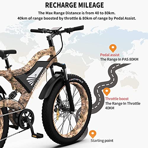 Aostirmotor Snakeskin Grain Fat Tire Electric Bike 
