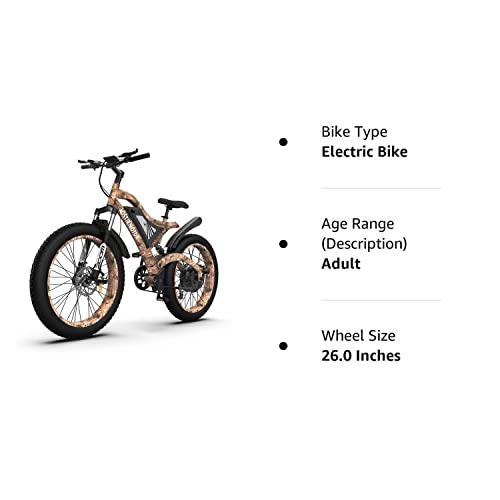 Aostirmotor Snakeskin Grain Fat Tire Electric Bike 