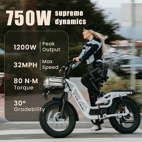Fucare Electric Bike 750W Cruiser
