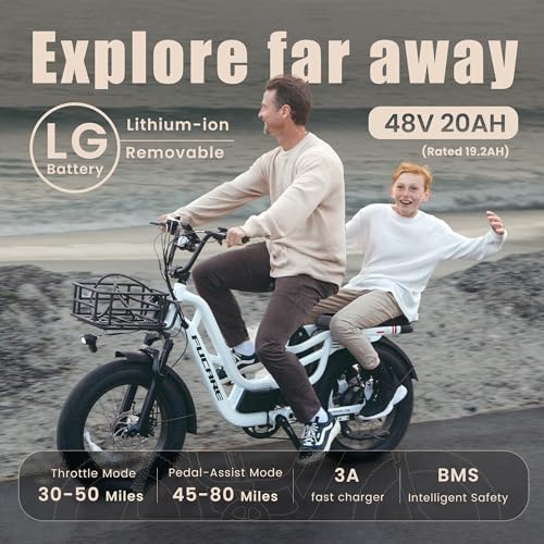 Fucare Electric Bike 750W Cruiser