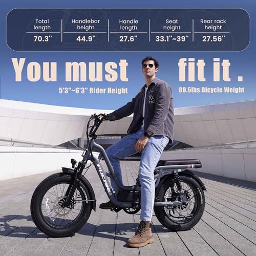 Fucare Electric Bike 750W Cruiser